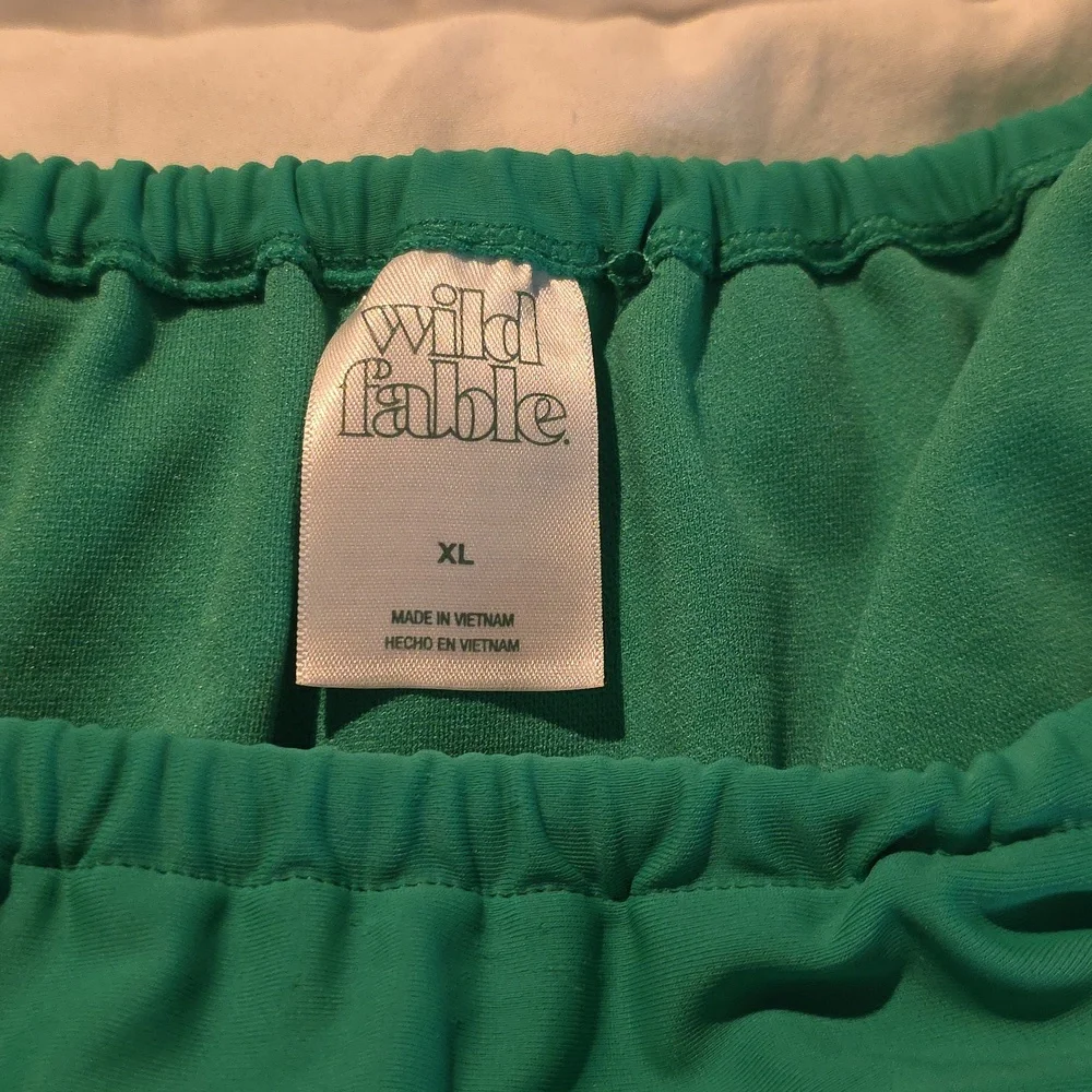 Wild Fable Green Tie-Side Bikini Bottom XL (W399) - Picture 2 of 5
